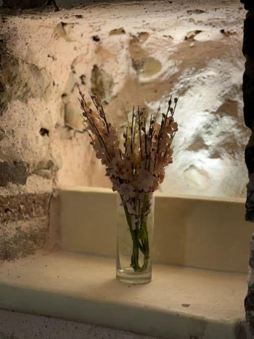 Apartment Vieil Rue Du Bateau *