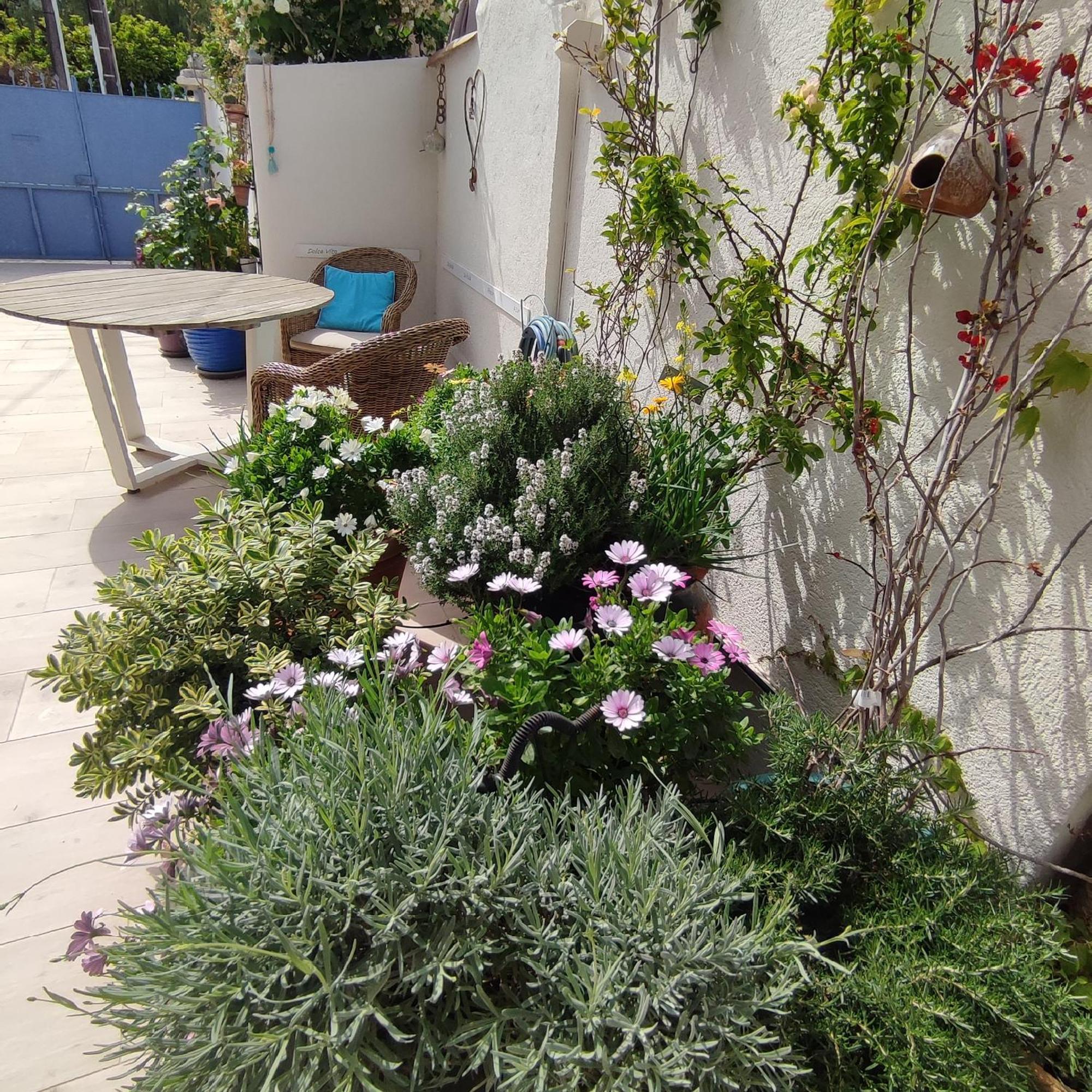 Apartment Juan Les Pins Plages Clim Wifi Maison Entiere *