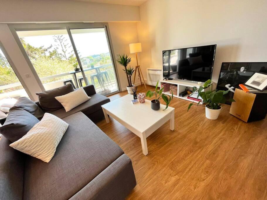 Superbe Appartement, Cap D'antibes - Clim, Parking, Terrasse Vue Appartement Antibes