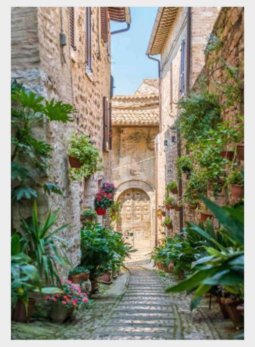 Provencal Avec Piscine *