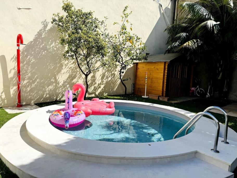 Unique Au Coeur Du Vieil Antibes, Superbe Avec Jardin Et Piscine