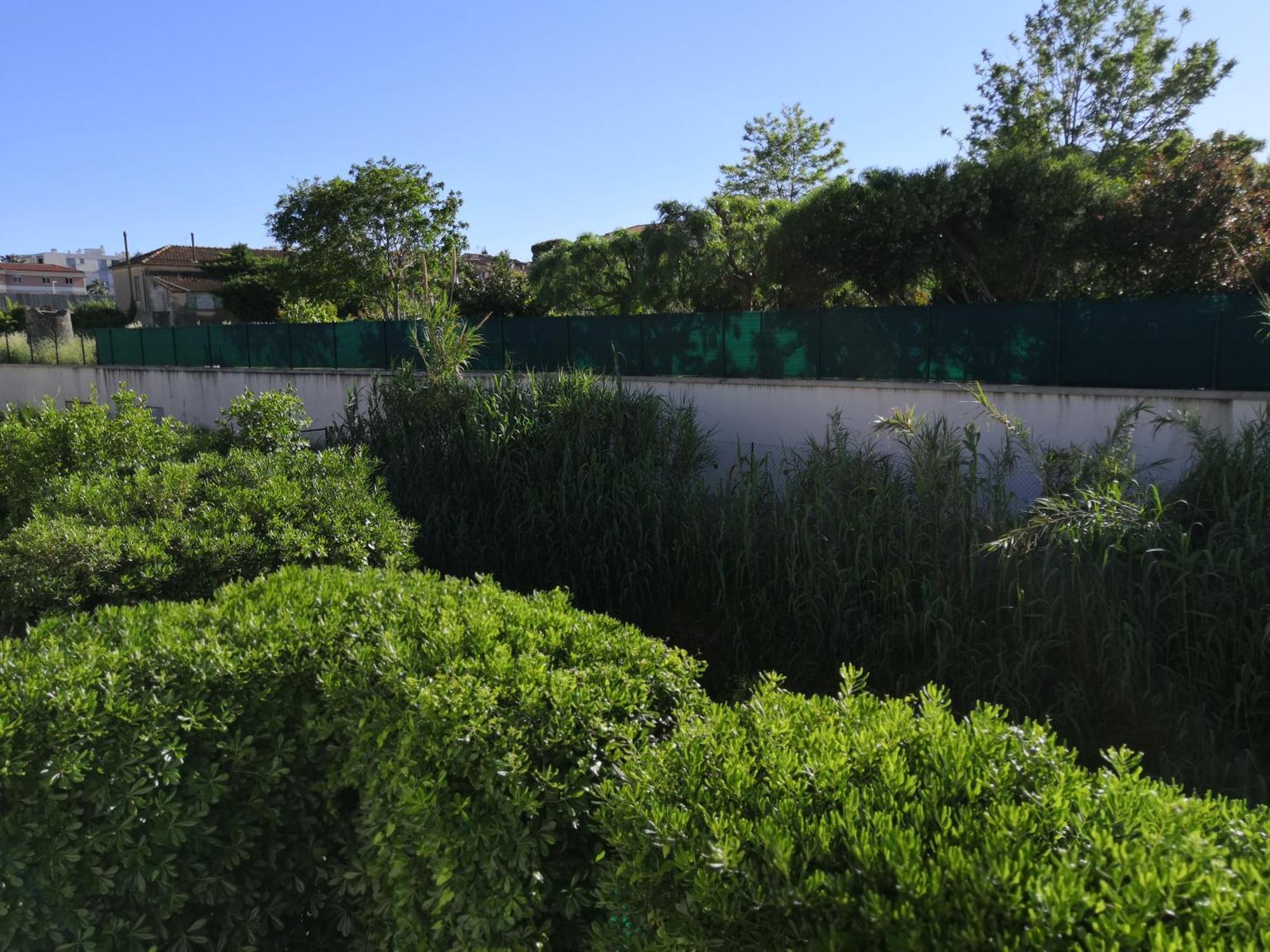 Les Palmiers: Apt 2 Prs, Piscine, Parking Antibes