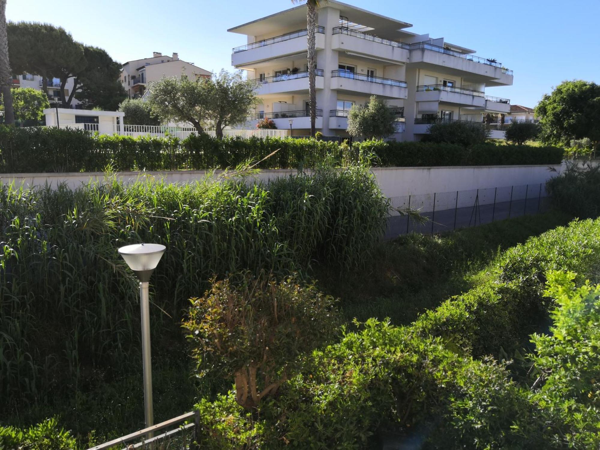 Les Palmiers: Apt 2 Prs, Piscine, Parking Apartment *