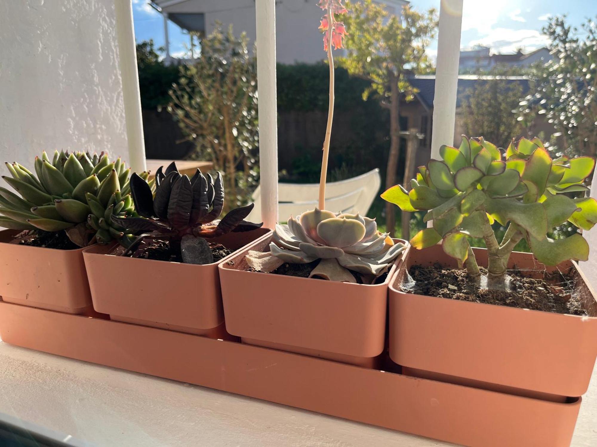 Apartment Deux Pieces Donnant Sur Un Jardin