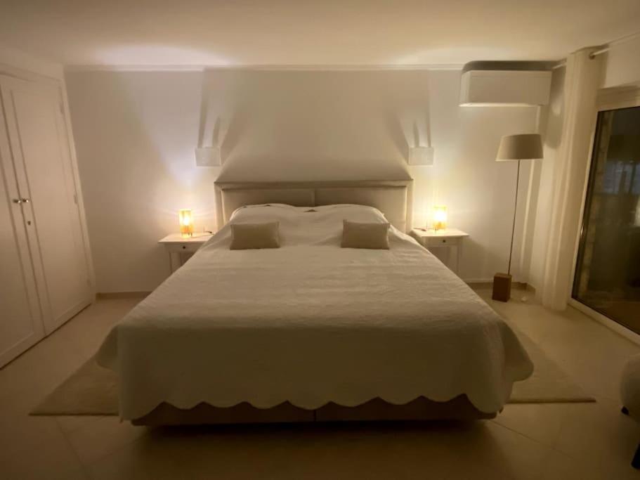 Villa Cap D Contemporaine Pied Dans L Eau Antibes