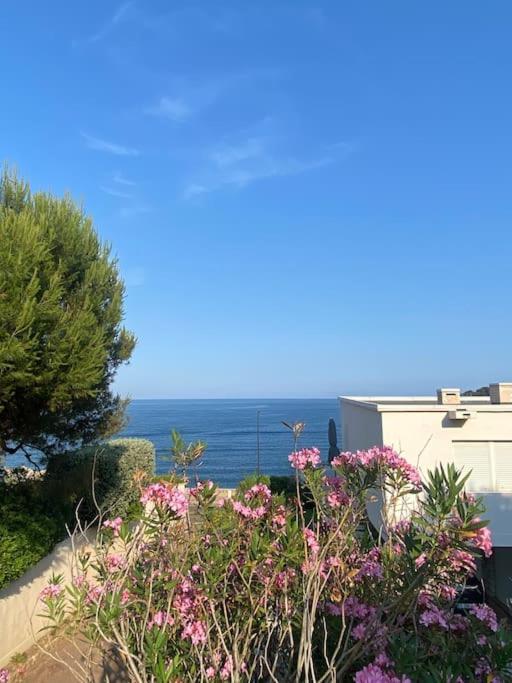 Villa Cap D Contemporaine Pied Dans L Eau *