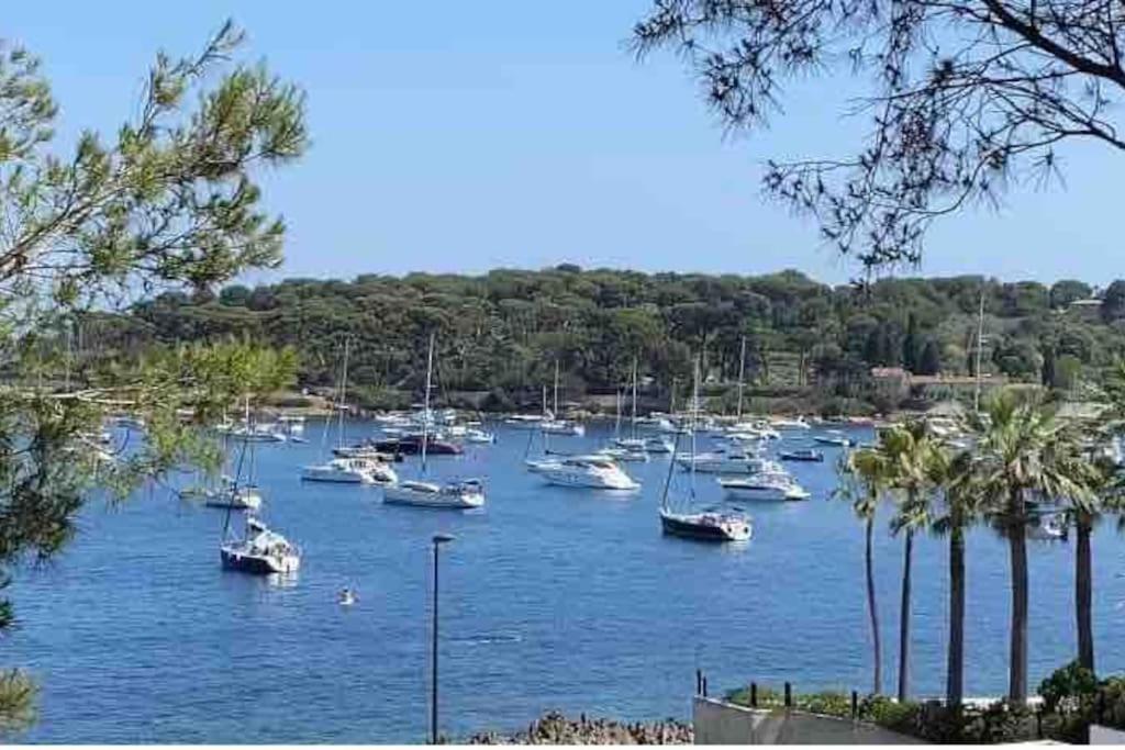 Cap D Contemporaine Pied Dans L Eau Antibes