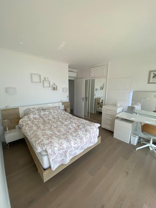 Villa Cap D Contemporaine Pied Dans L Eau