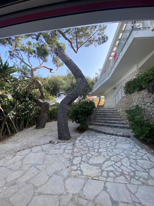 Villa Cap D Contemporaine Pied Dans L Eau