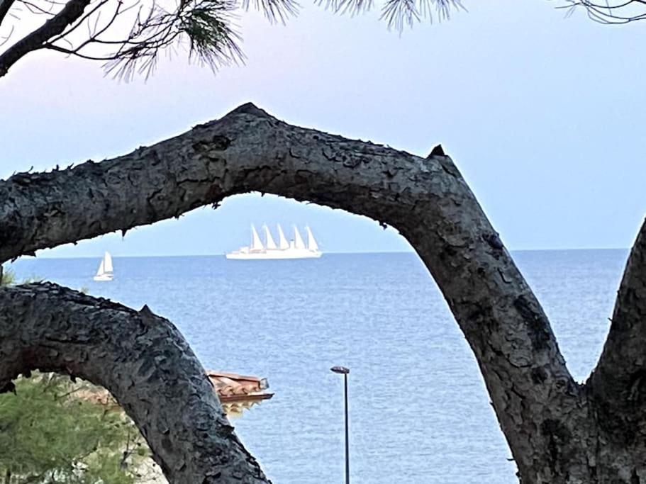 Villa Cap D Contemporaine Pied Dans L Eau *