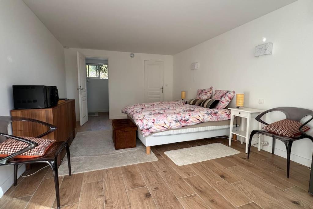 Villa Cap D Contemporaine Pied Dans L Eau Antibes