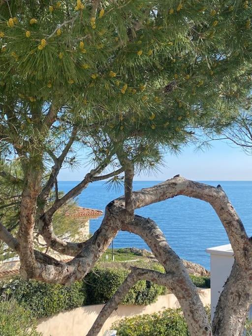 Villa Cap D Contemporaine Pied Dans L Eau Antibes