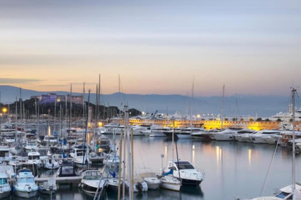 Beau Coin Nuit Centre Antibes