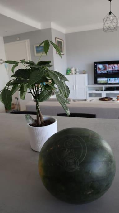 Antibes/juan Les Pins, Cosy Apartamento