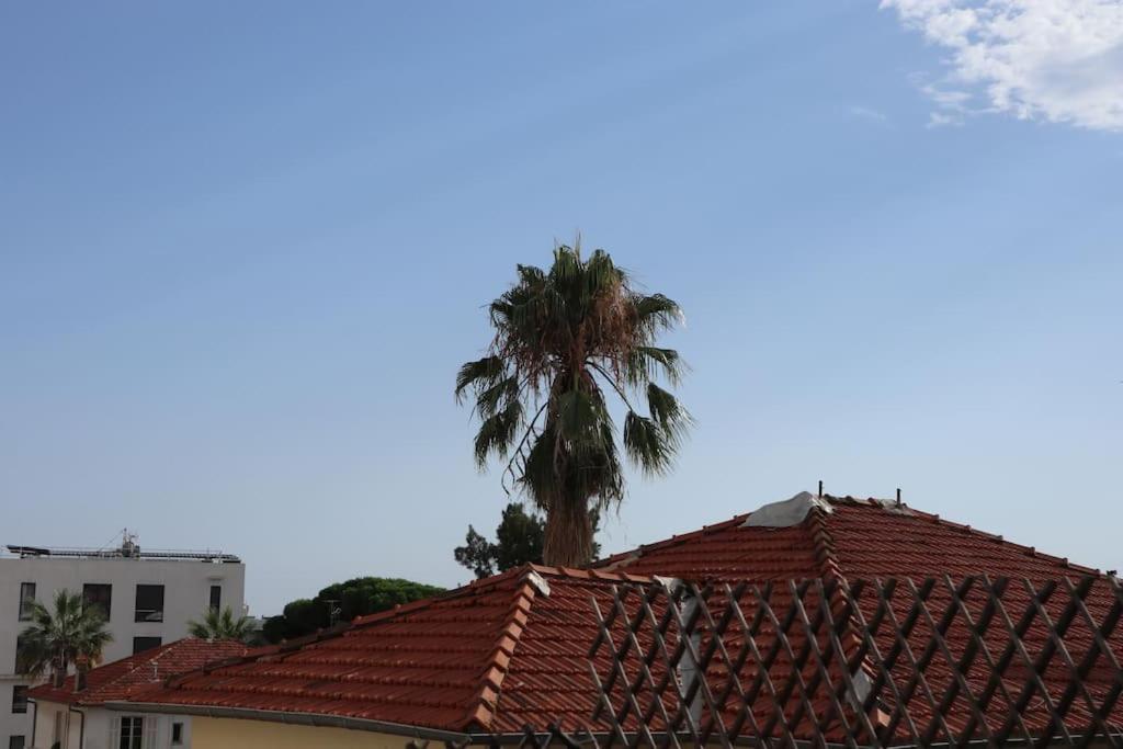 Antibes/juan Les Pins, Cosy *