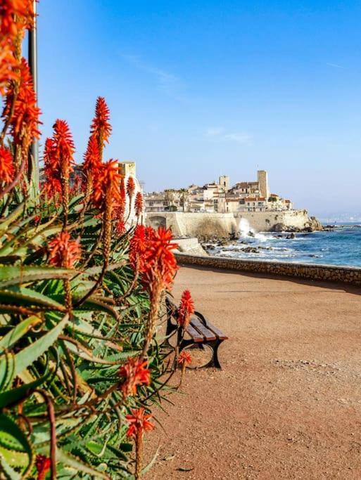 Apartment Les Palmiers: Apt 2 Prs, Piscine, Parking Antibes