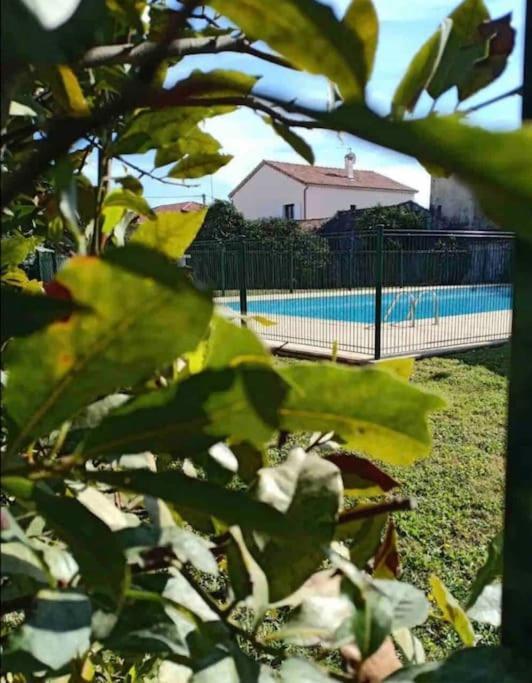 Apartment Les Palmiers: Apt 2 Prs, Piscine, Parking Antibes