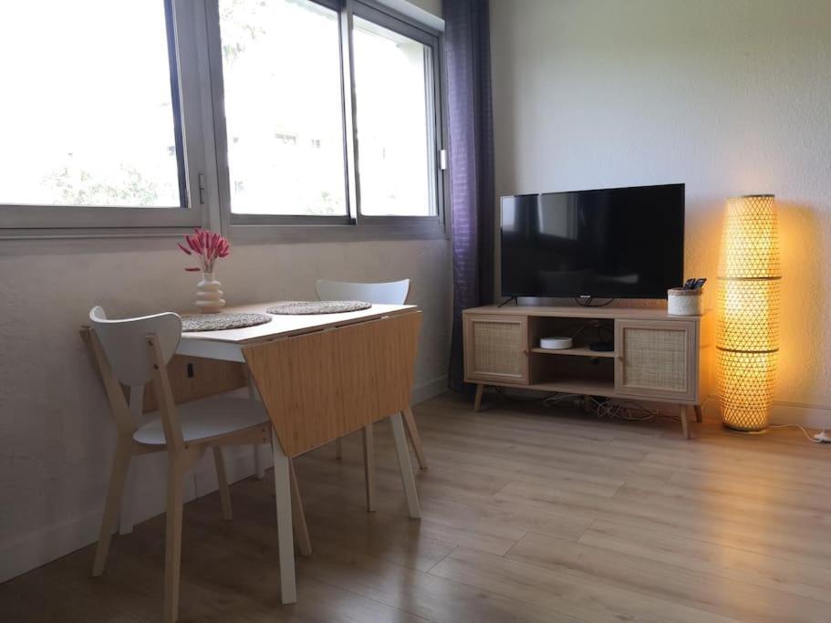 Apartment Les Palmiers: Apt 2 Prs, Piscine, Parking