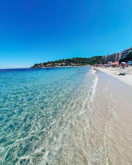 2 Pieces - Piscine - Terrasse Xxl - La Salis Apartment Antibes