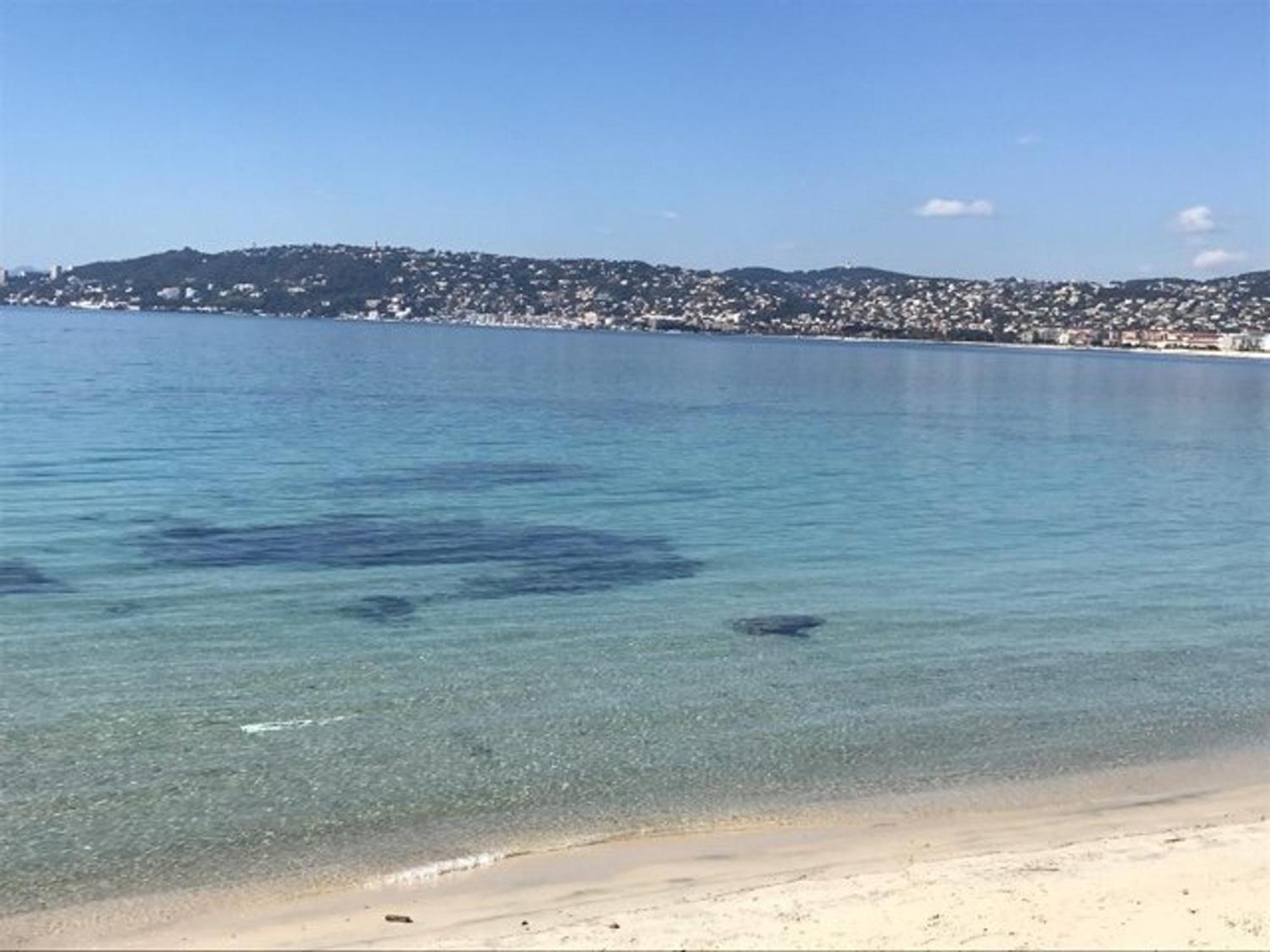 2p Avec Terrasses, Parking Prive, A 100m Des Plages - Juan-les-pins - Fr-1-252-196 Apartment *