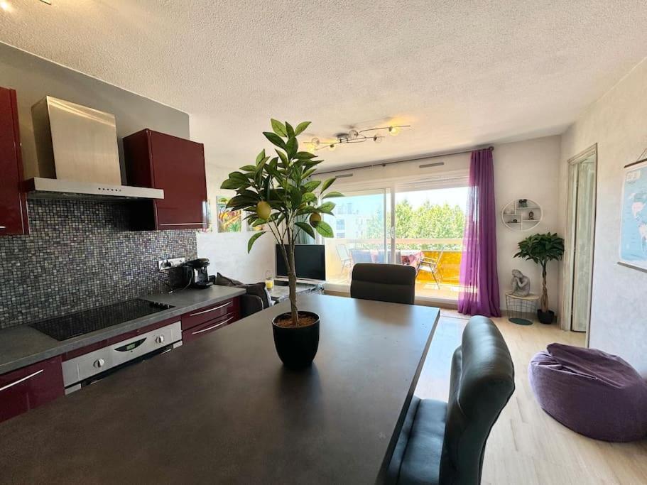 Appartement T2 Juan Les Pins A 300 M Des Plages