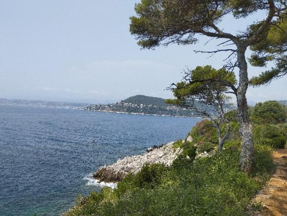 10mm A Pied Des Plages, Olympe Climatisé Appartement Antibes
