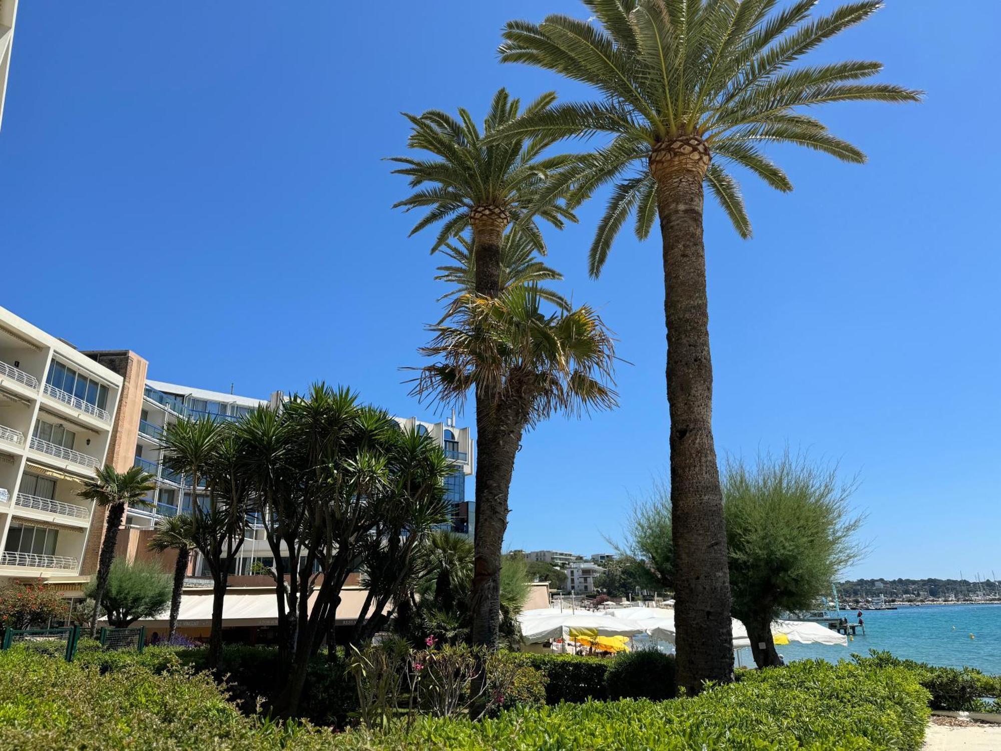 Belle Vue Sur A Juan Les Pins Apartment