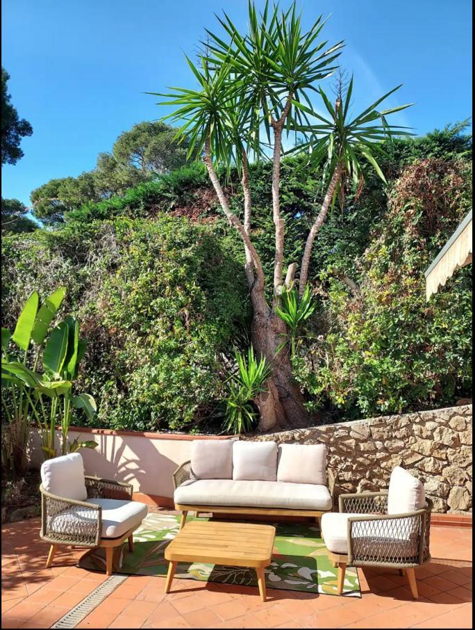 Cap D'antibes, Swimming Pool, Sea, Terrasse Antibes