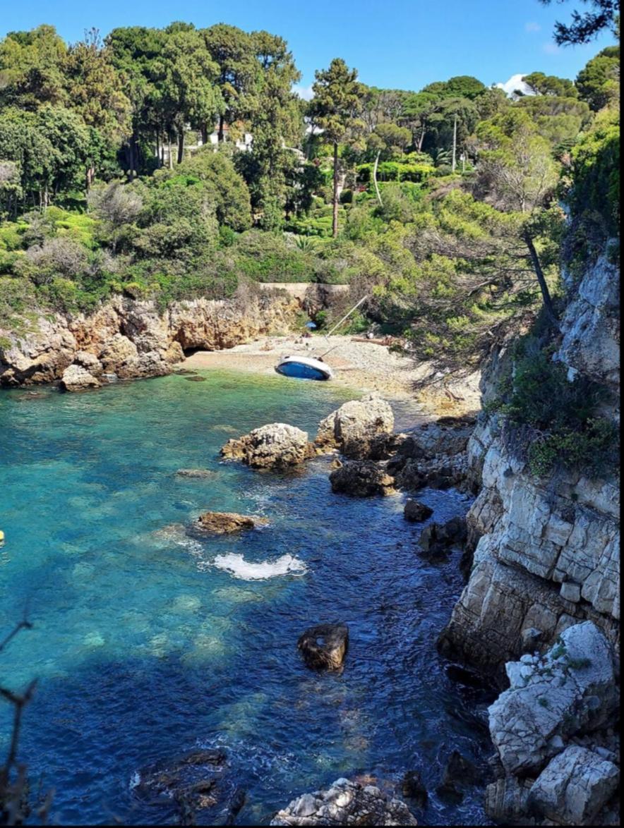 Cap D'antibes, Swimming Pool, Sea, Terrasse