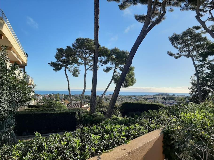 3 Pieces Apartment Antibes
