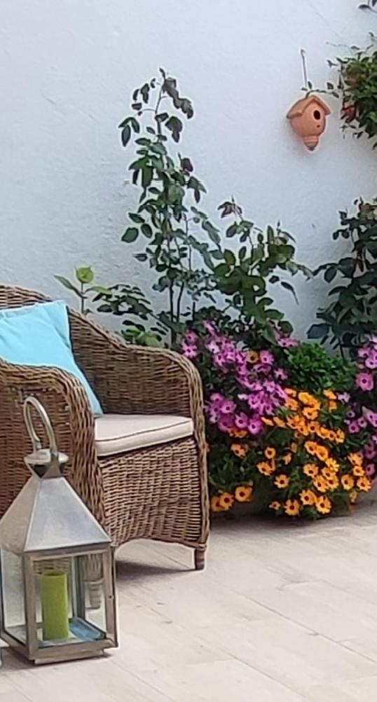 Apartment Juan Les Pins Plages Clim Wifi Maison Entiere *