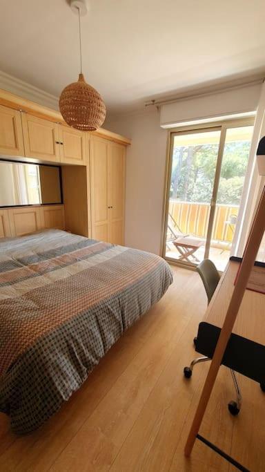 Eden Parc Juan Les Pins 2 Pieces 4 Personnes Antibes