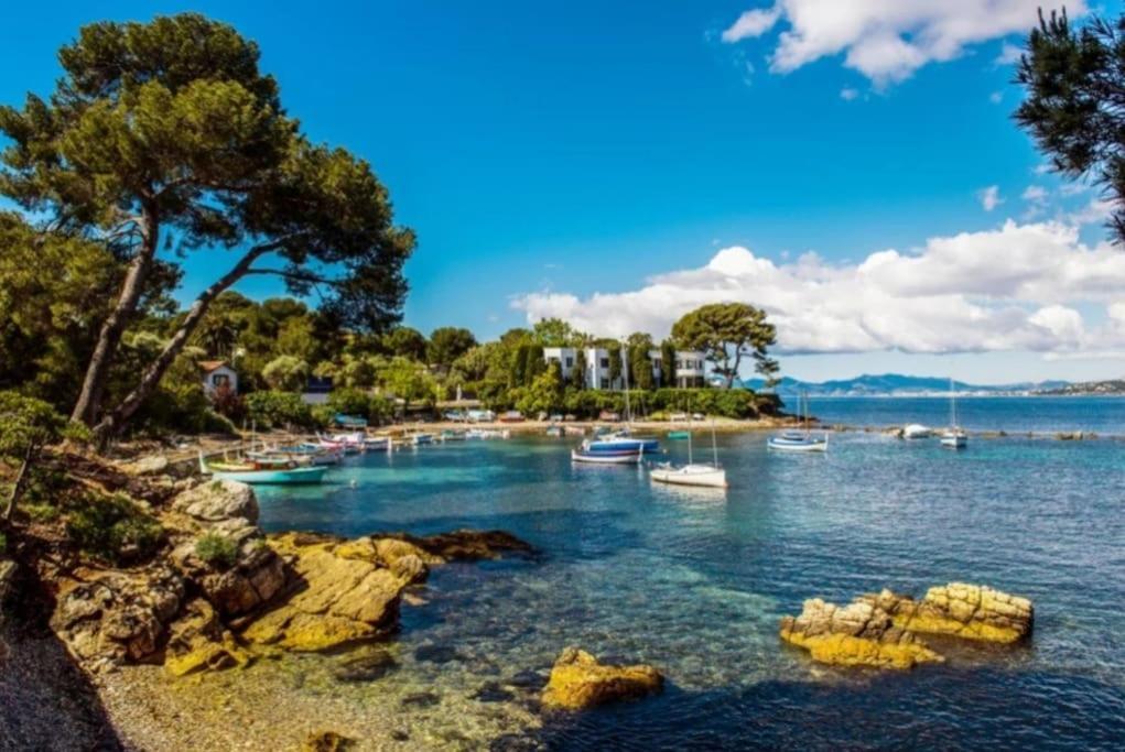 Renove A Antibes, A 10 Min A Pied Apartment Antibes