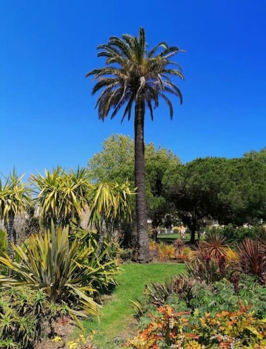 Apartment Renove A Antibes, A 10 Min A Pied Antibes
