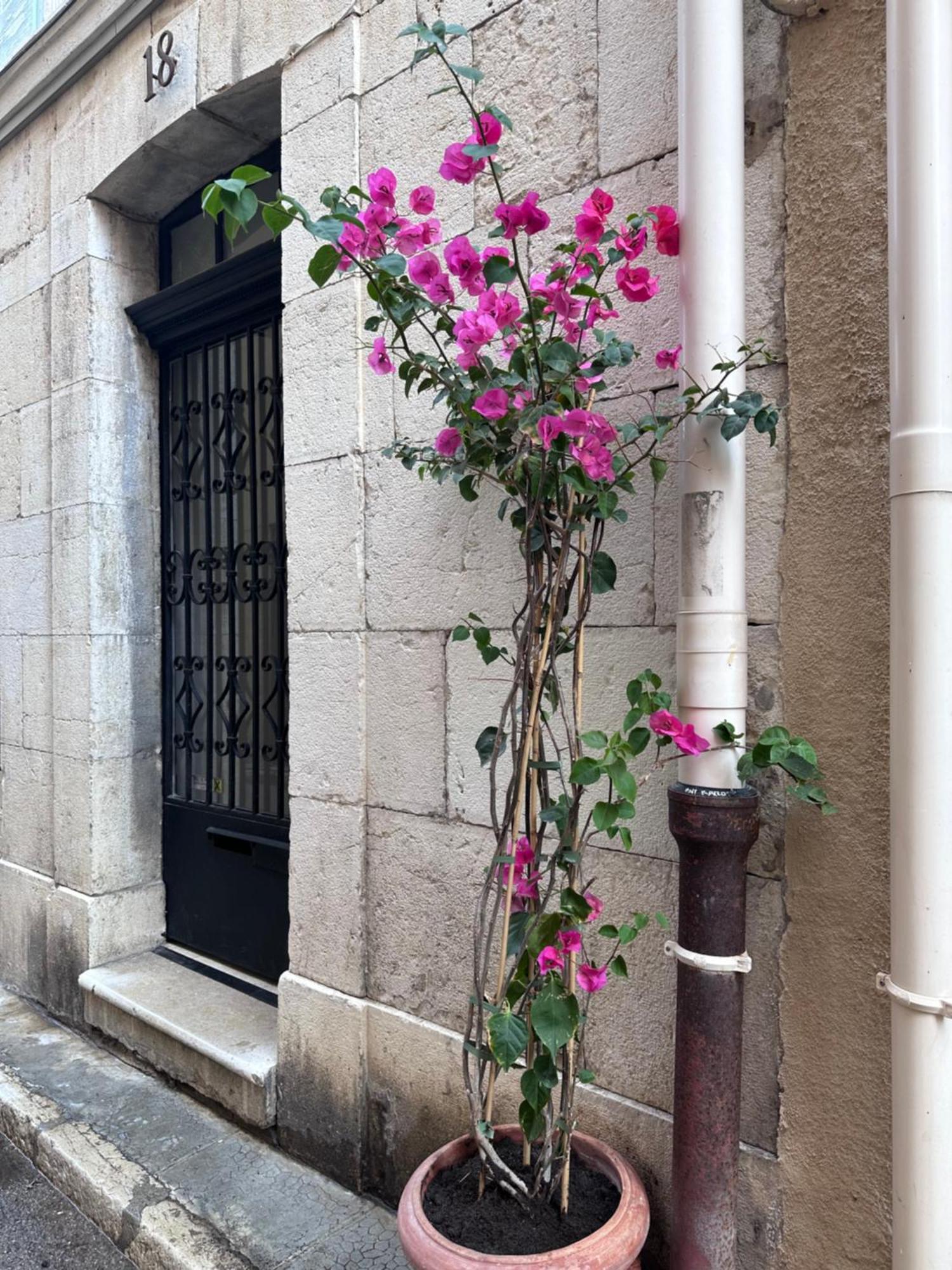 L De Manon, Centre Historique Du Vieil Apartamento *