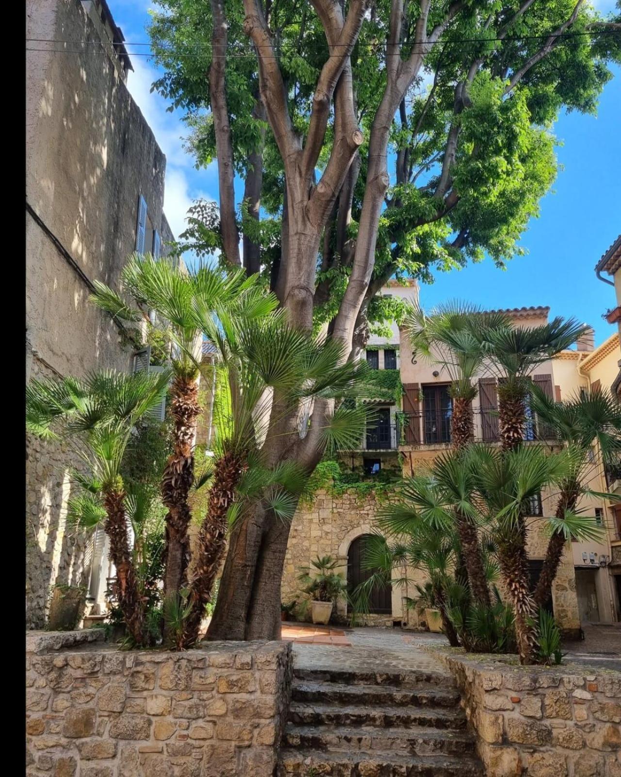 06an - Beautiful In The Heart Of Old Antibes
