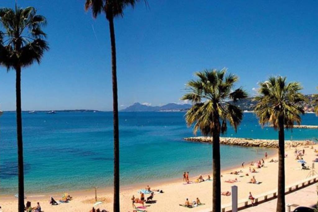 Apartamento Newly Built With Pool, Walk To The Antibes