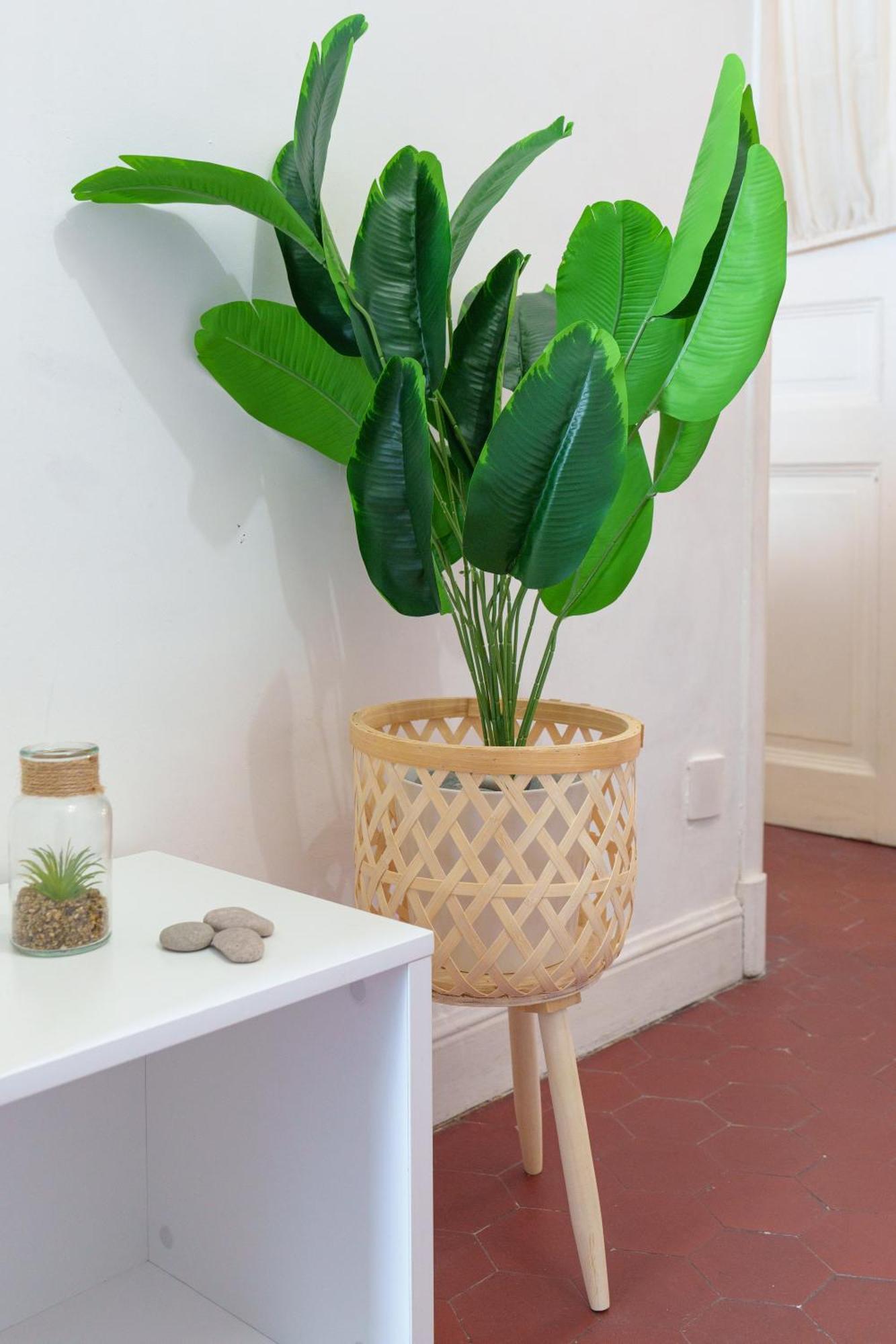 Le Cocon, Hypercentre - Netflix - Clim Apartment Antibes