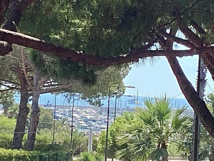 Elegant T3 Avec Jardin Privatif A 5 Min Des Plages Apartment *