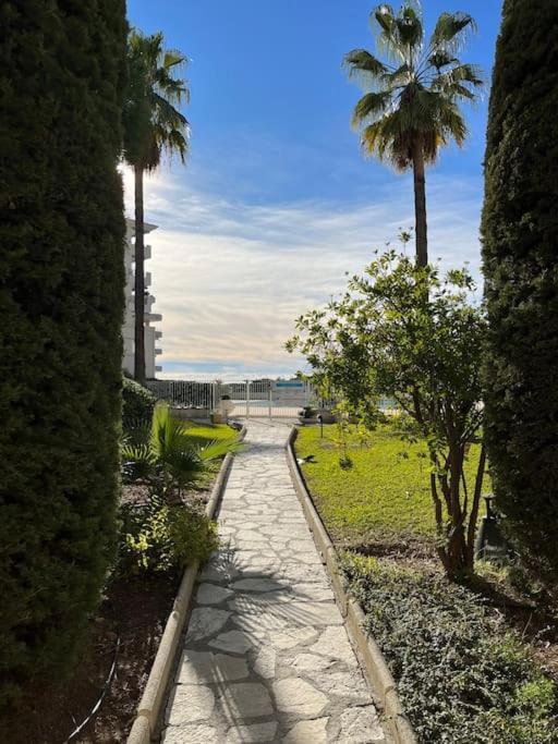 F2 Climatise, Piscine, Parking, A Pied Antibes