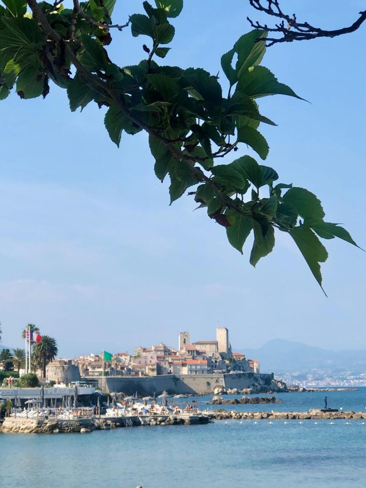 Centre Beau T3 6 P Terrasse Wifi Pkg Clim Antibes