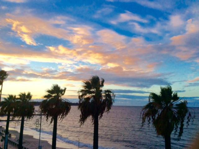 Luxueux De 2 Pieces , Etage Eleve , Terrasse Face A La , A Saisir! * Antibes