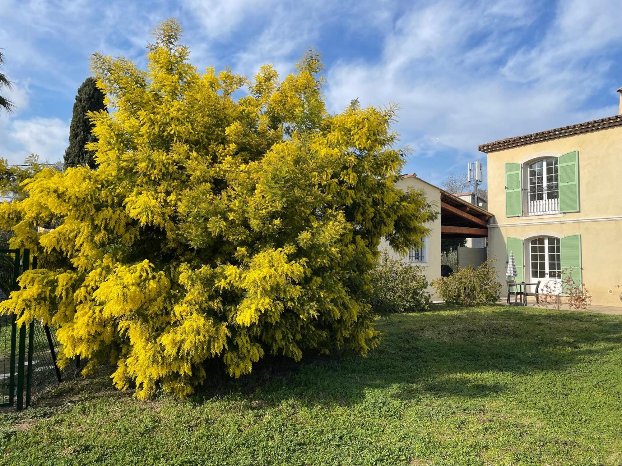 D'hôtes La Bastide Des Eucalyptus 2*