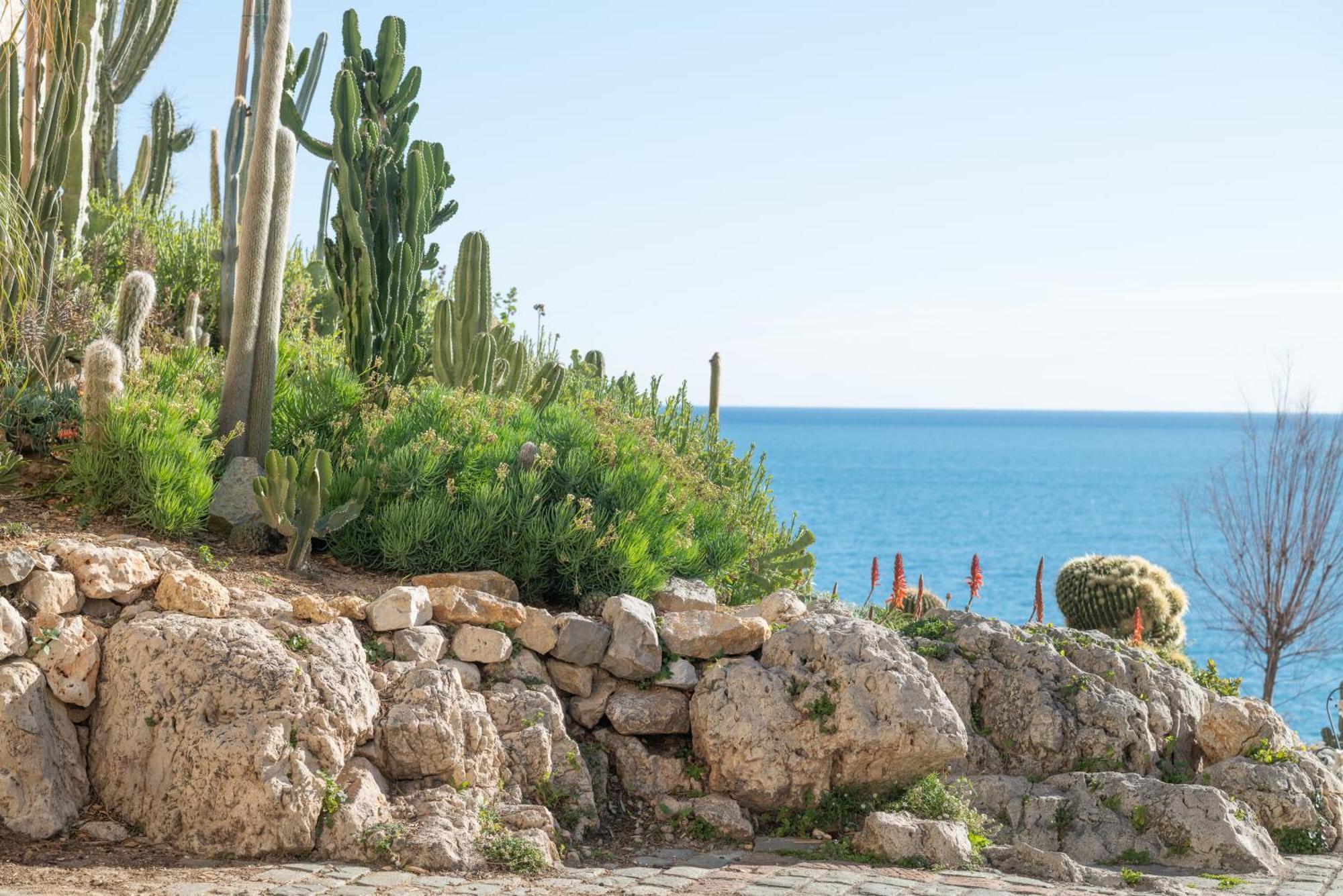 Apartment La Pablita, Vieil Antibes, Remparts *