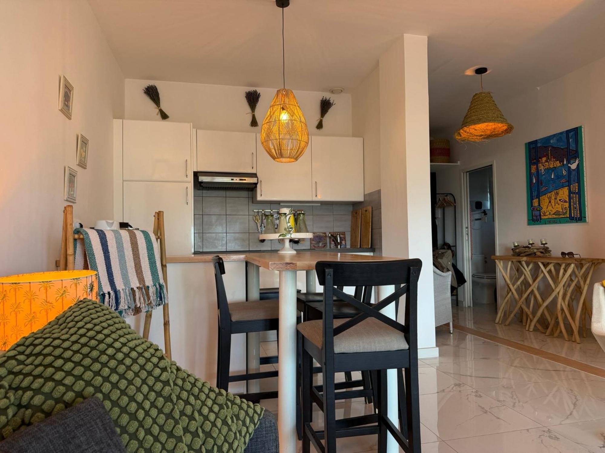 Large Luxury With Garden View Over The Ocean Apartamento Antibes