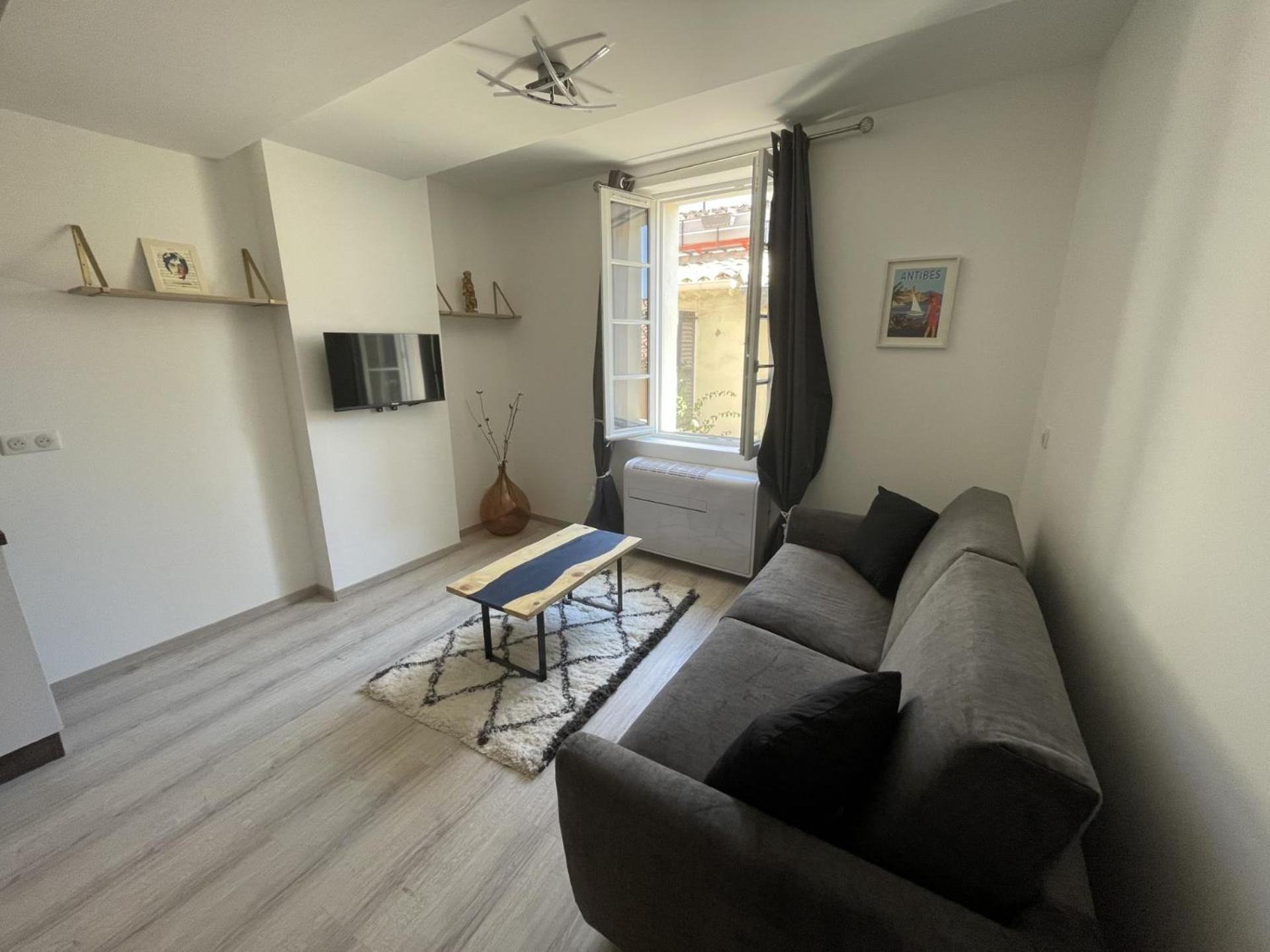 Spacieux - Vieil Apartment Antibes