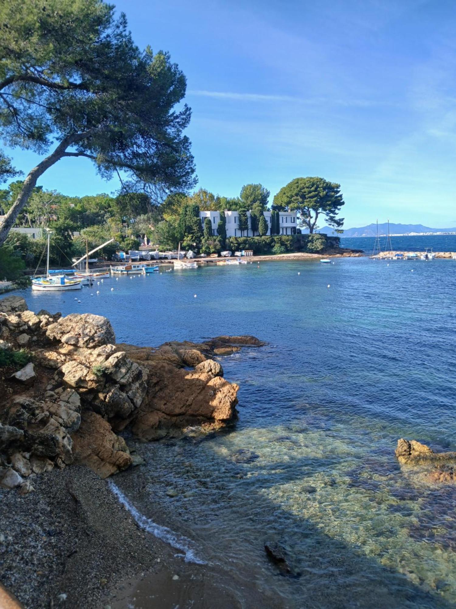 L'olivaie Apartment Antibes