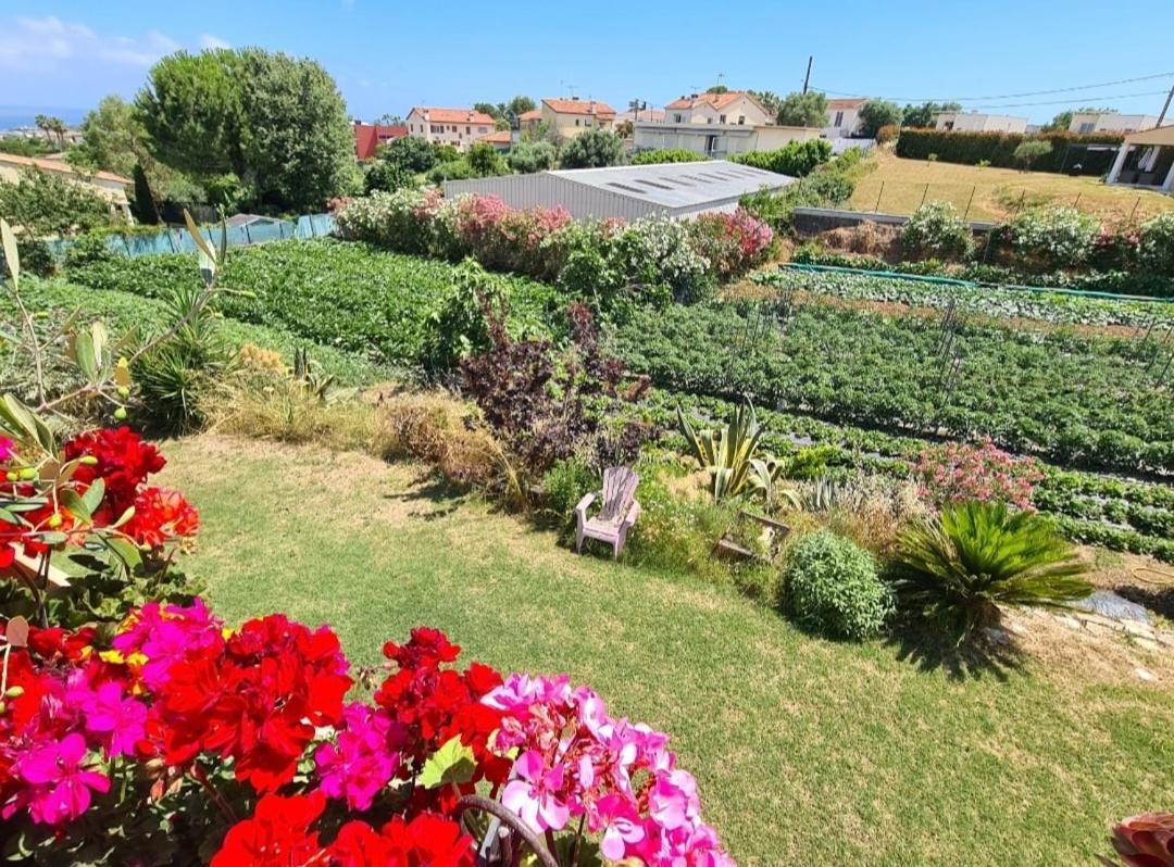 Beautiful Sea View, Quiet In Agricultural Villa