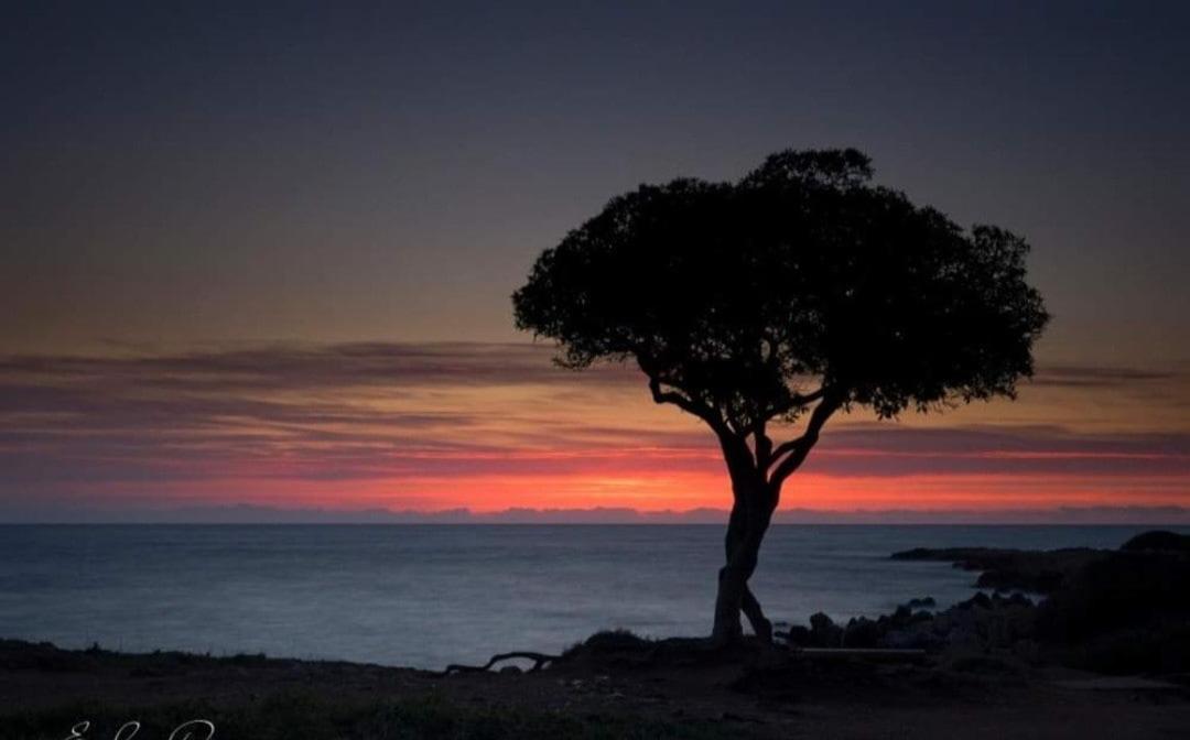 Beautiful Sea View, Quiet In Agricultural * Antibes
