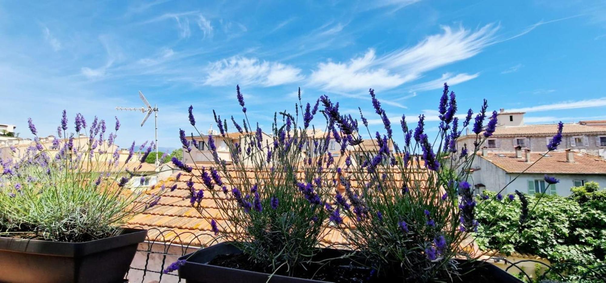 4 Le Saint Joseph Center Of With Ac Apartamento Antibes